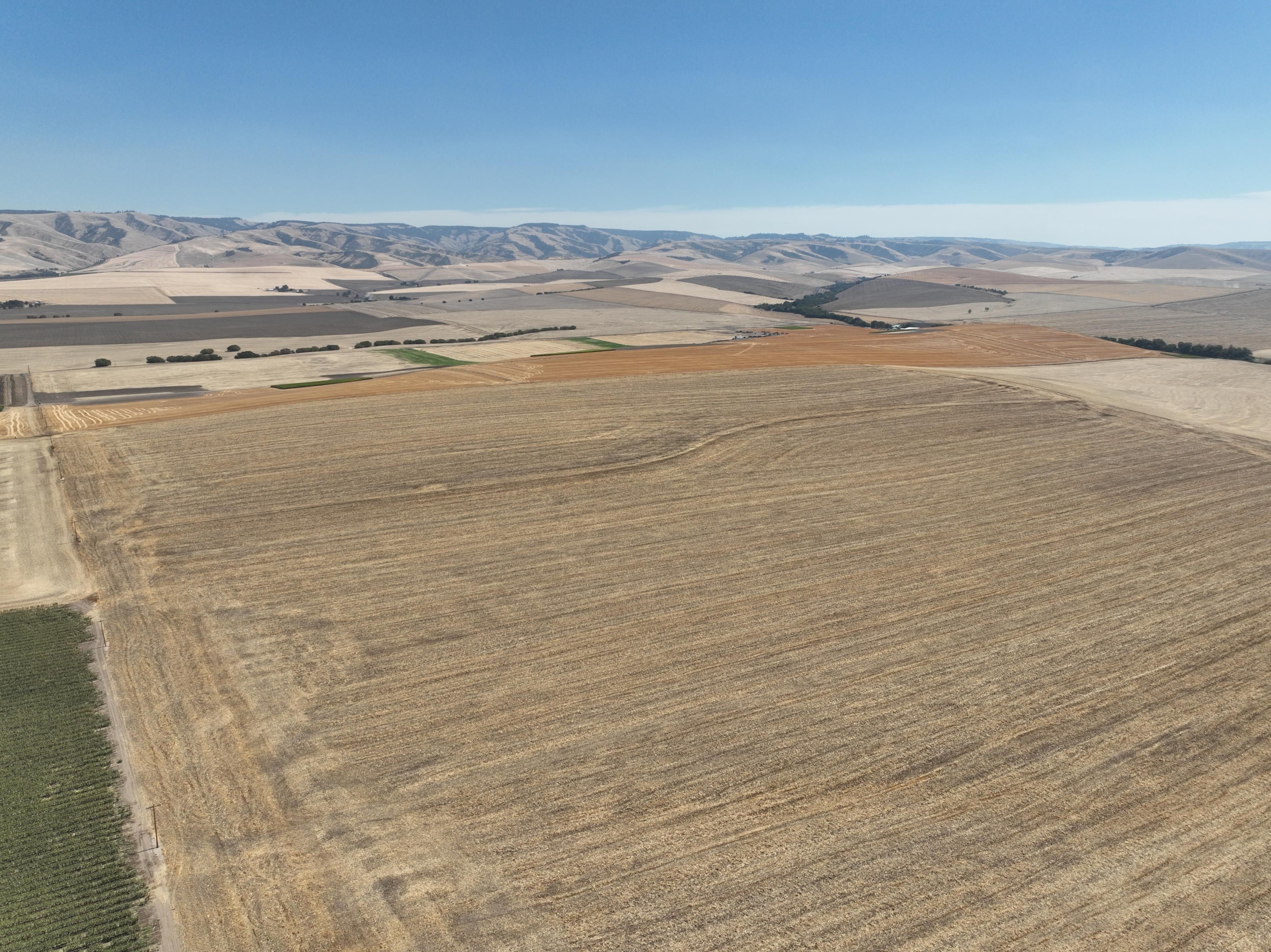 Listing Photo: Umatilla-County-Oregon-Non-Irrigated-794-Acres (6)
